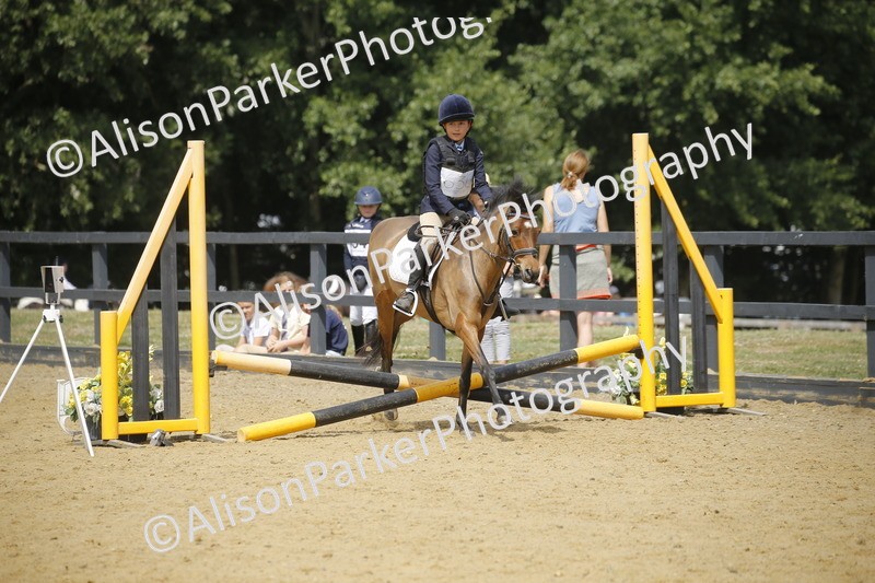 20250622-3953 - 50cm