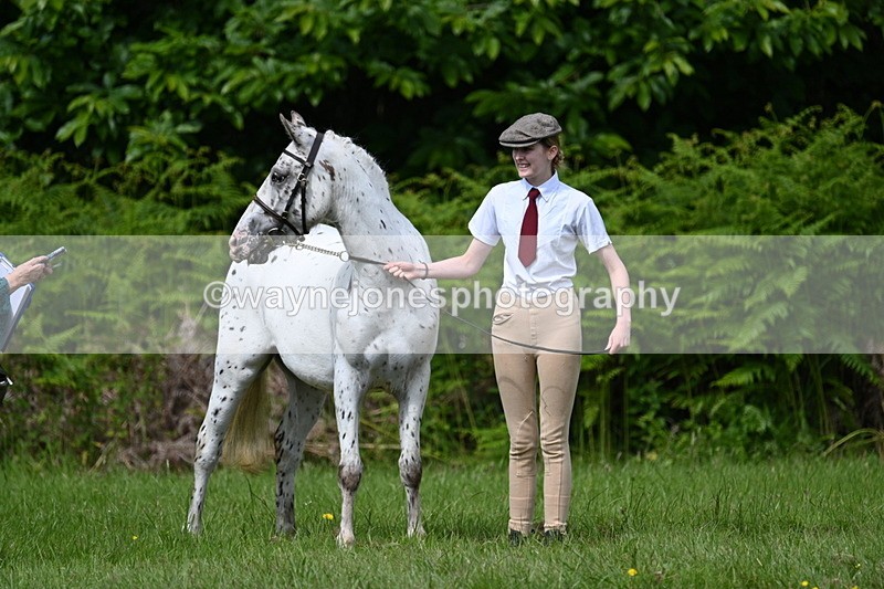 WJ7_1286 - Class 11 Condition & Turnout