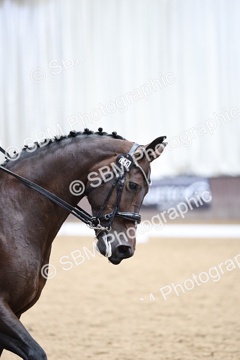 SBM_002145 - Class 10 - Medium 5