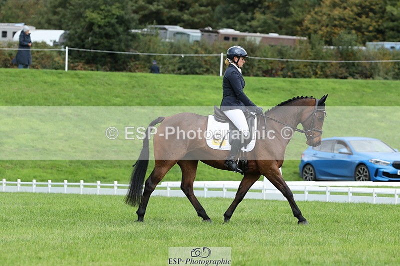 251023A-115008-03418 - E-384-Holly.Horton