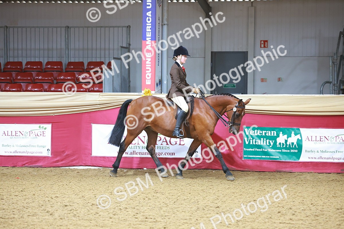 SBM_07576 - Class 101 - HOYS Veteran Qualifier - Ridden Diamond