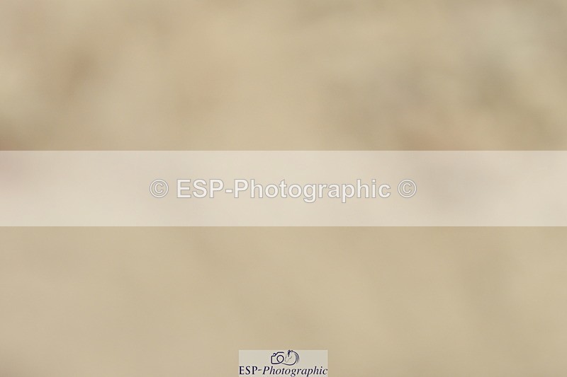 230702A-130530-09429 - Cls 29 Elementary 57