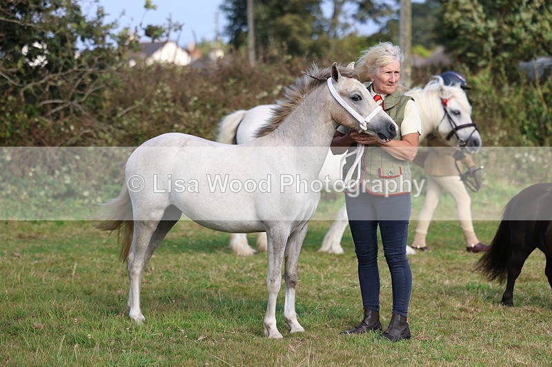 3E7A3212 - Class 12: M & M Small Breeds