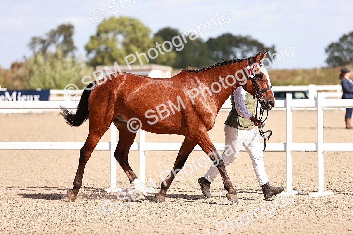 SBM_22968 - Class 707 - IH groom Helpers Class