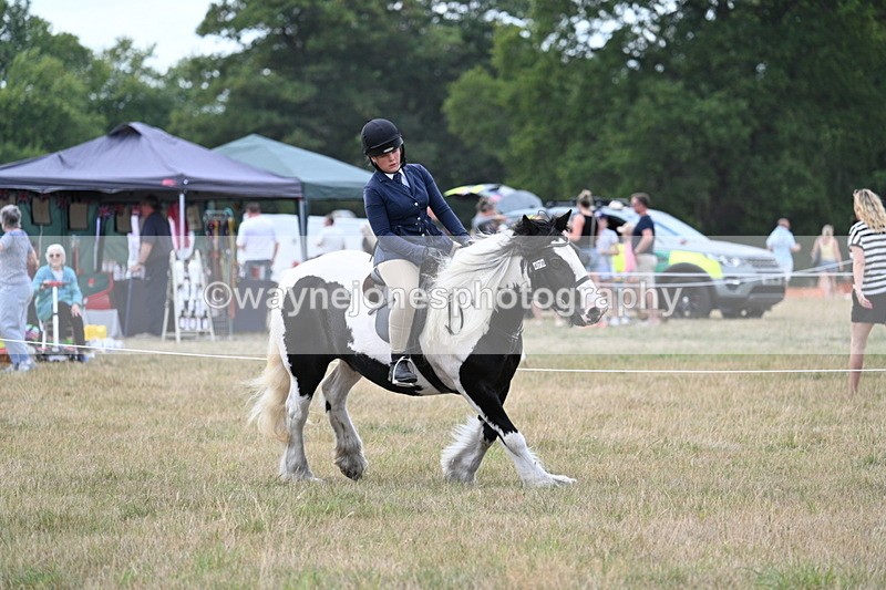 WJ7_5360 - Class 12 Ridden Cob