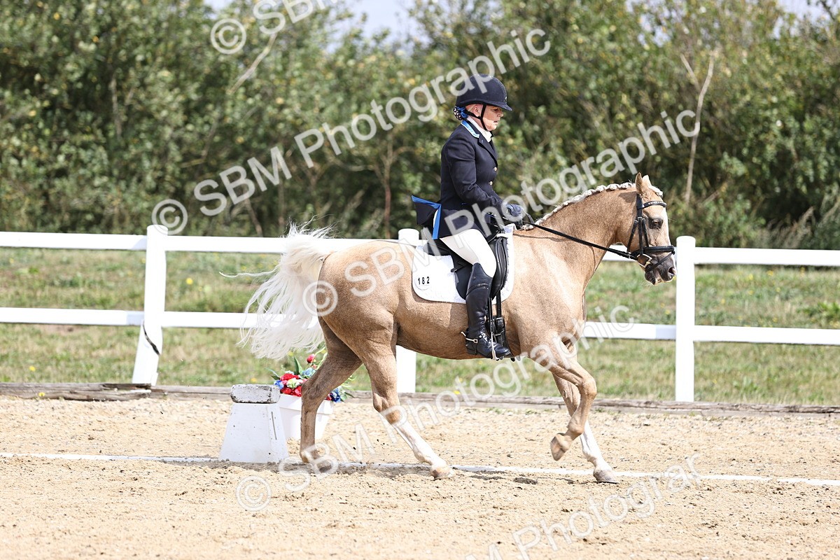 SBM_016203 - Class 14 - Novice 23 - 10.29-11.32