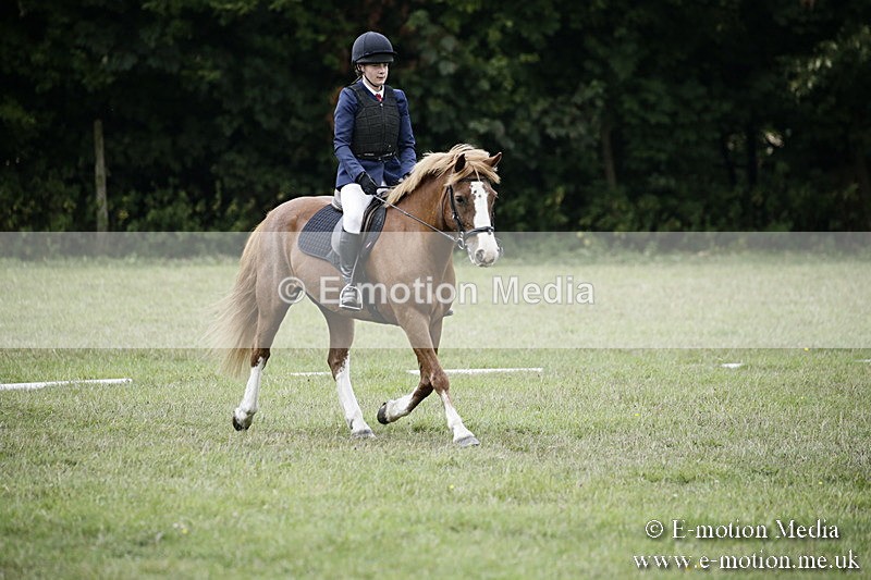 BVR090918 250 - BVRC Dressage and Show Jumping 09/09/18