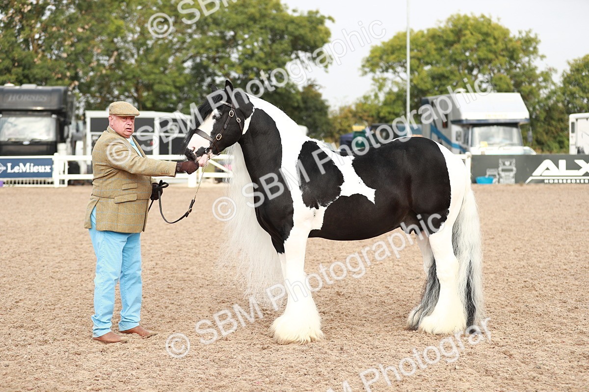 SBM_09560 - Class 201 Best Turned Out IH