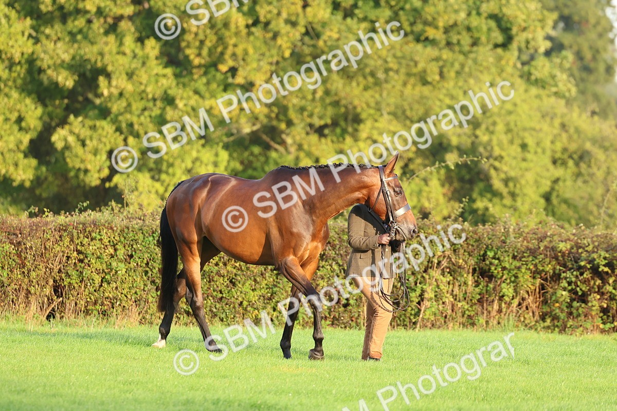 SBM_32761 - S8 - Best Turned Out