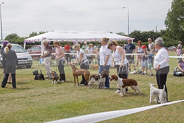  - Spirit of the Dog Funday July 2010