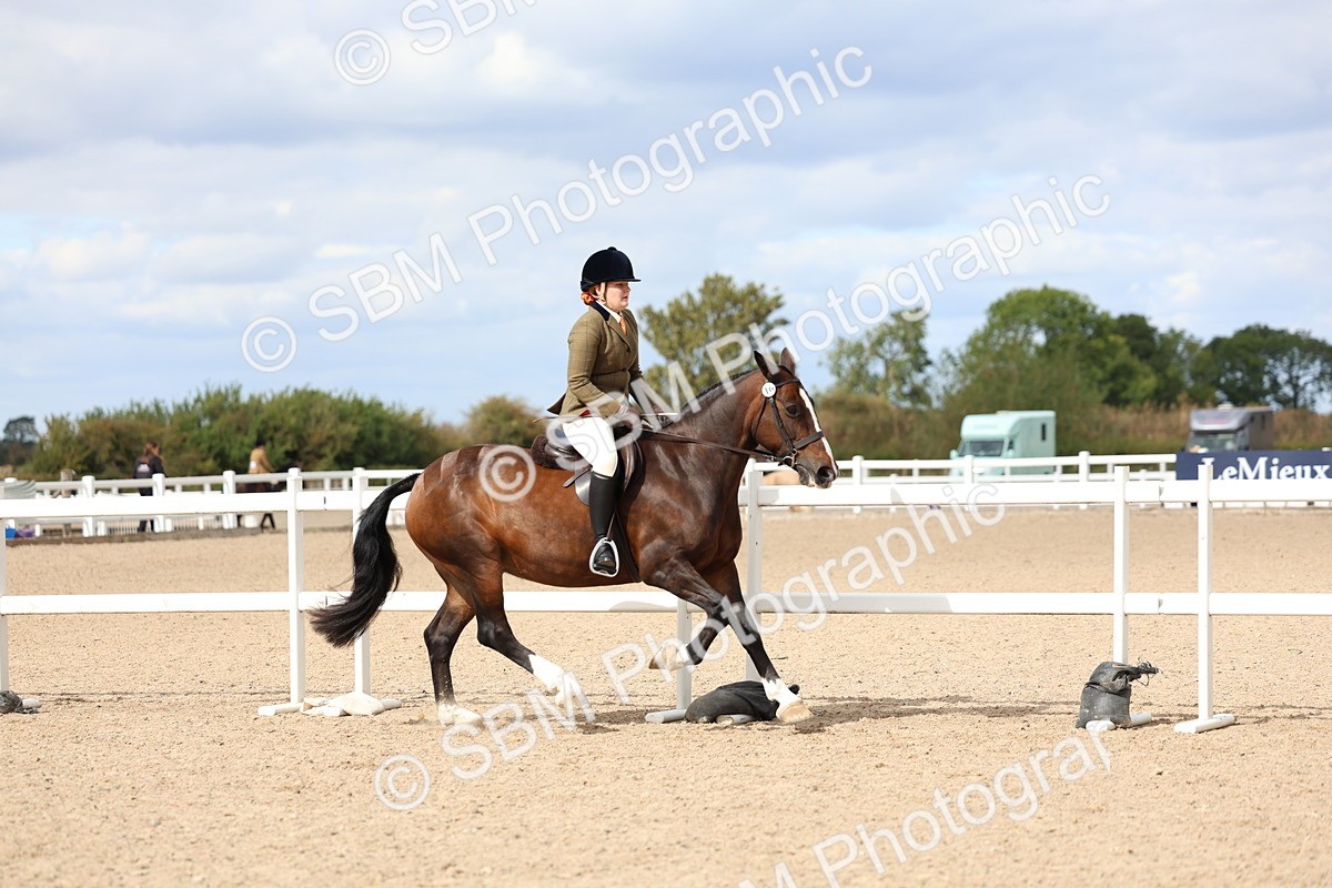 SBM_15786 - Class 314 - Family Horse - Pony