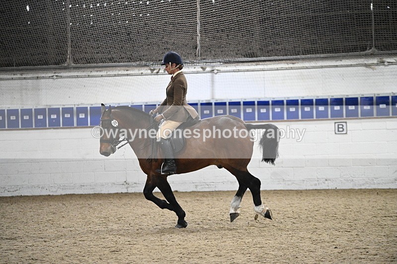 WJ7_4009 - Class 17 Ridden Cob