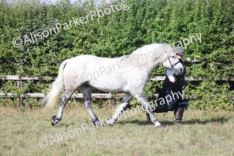 20250831-1604 - Class 22 - Mountain and Moorland Inhand