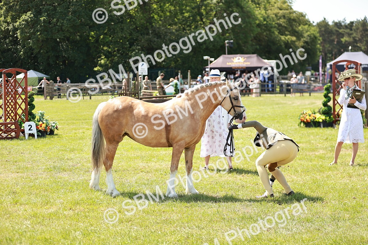 SBM_15694 - Class 108-109 - BSPS LIHS Open Gradle & Nursery Stakes
