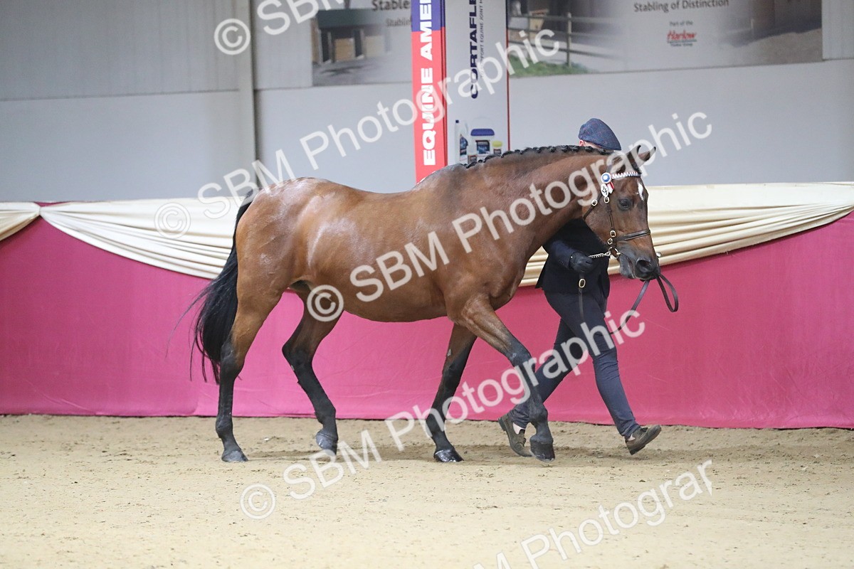 SBM_00233 - Class 1a - Area IH Diamond
