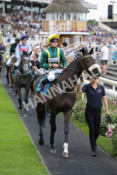 yr23072022r6-8 - Race 6 5.00pm Sky Bet Partnership with Support Dogs Stakes