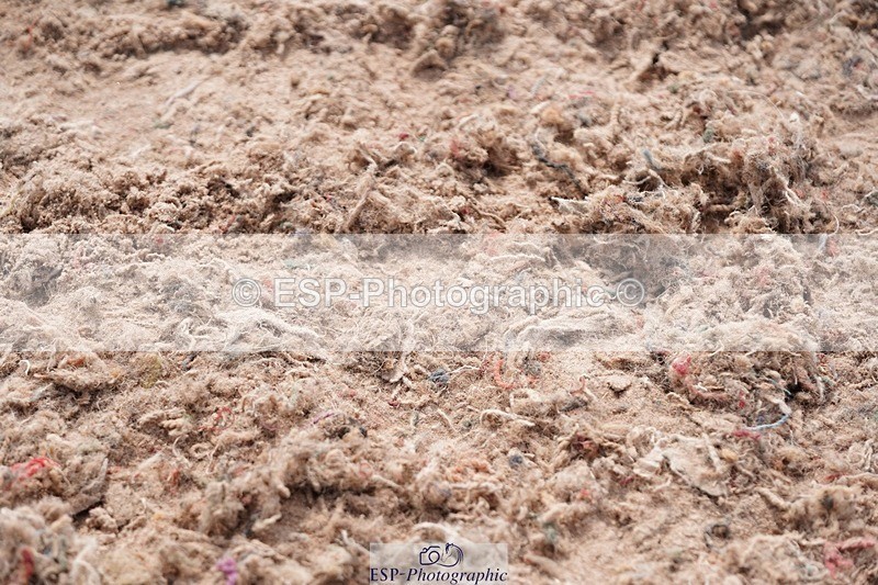 250511-153410-14736 - Cls 35 1.10m Amateur Quali and Open