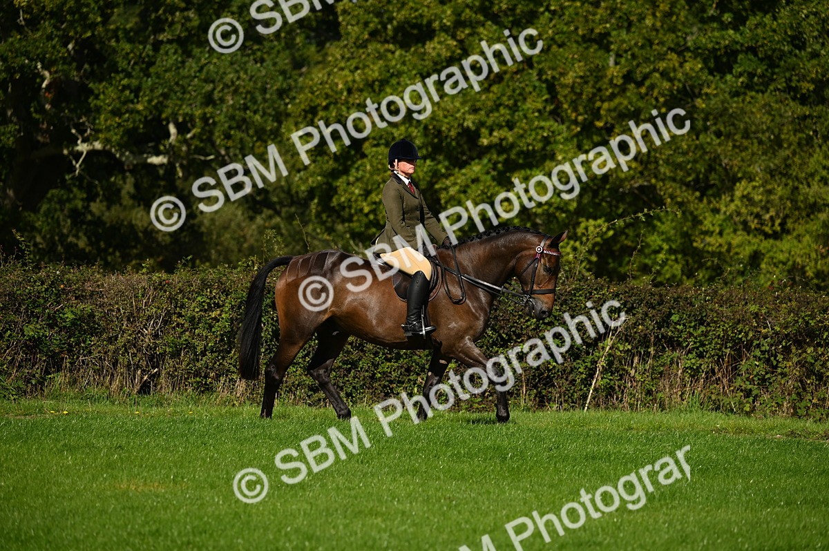 SBM_01389 - S2 - TSR Ridden Horse Showing