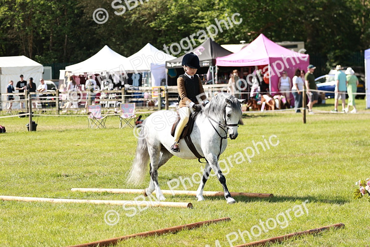 SBM_12711 - Class 106-107 - BSPS LIHS Working Sports Pony