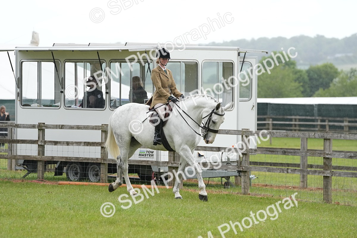 SBM_12634 - Class 97-98 - LIHS BSHA Rising Star Working Show Horse Hunter