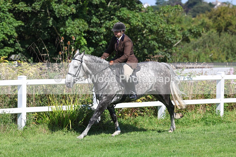 3E7A8408 - Class 4: Novice working Hunter