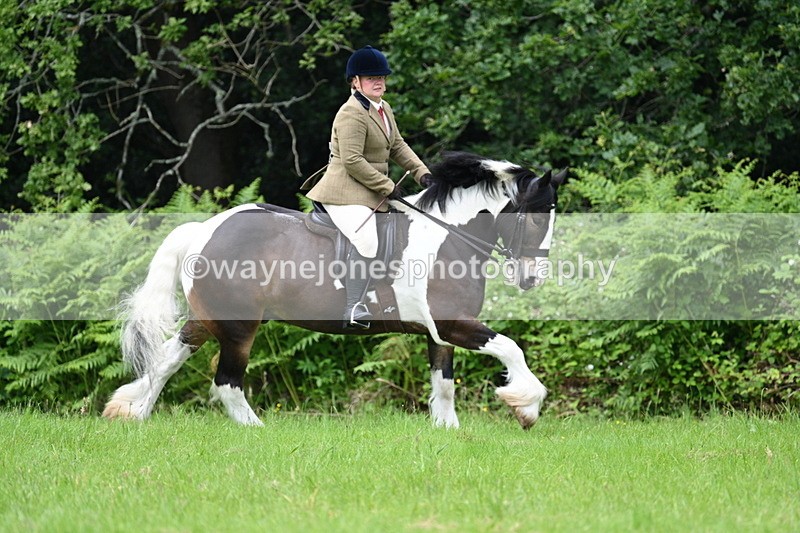 WJ7_2361 - Class 12A Coloured Class
