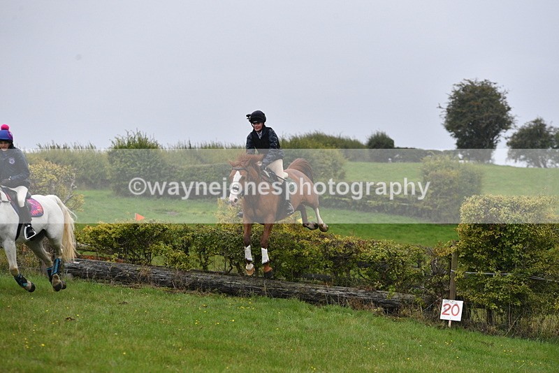 WJ5_6949 - Time 13:31 to 14:00