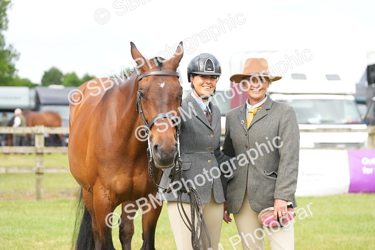 SBM_12760 - Class 97-98 - LIHS BSHA Rising Star Working Show Horse Hunter