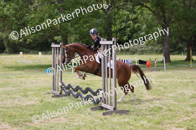 20260614-4135 - Class 24 - Mini and Major Pairs Jumping