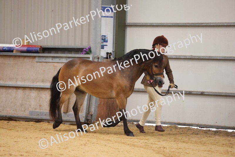 20260913-0187 - Class 121 - Young Handler 5-16