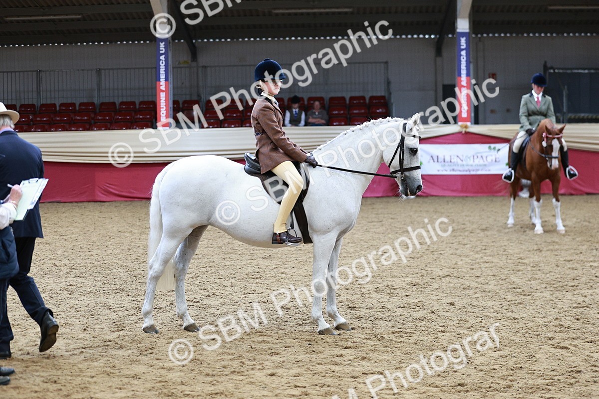 SBM_03016_Class 5a - Area - Ridden Veteran - Vicky Gutteridge