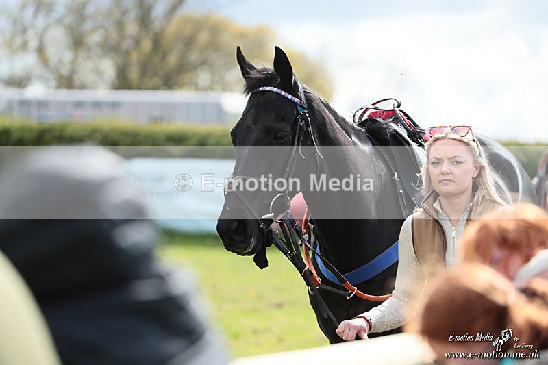 PtP 180426 382 - Worcestershire Hunt PtP Chaddesley Corbett 18/04/26