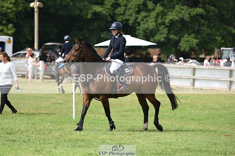 230617-095914-01741 - Cls 15 British Novice & 80cm Open