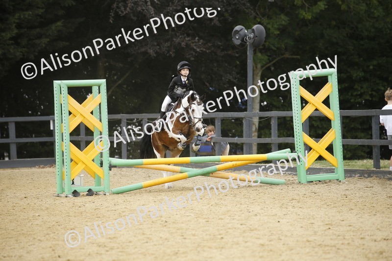 20250622-6050 - 60cm