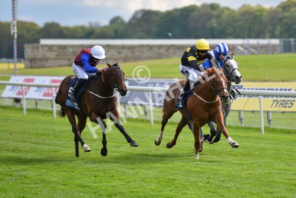 yr12052021r6-17 - Race 6 4.15pm British Stallion Studs EBF Novice Stakes