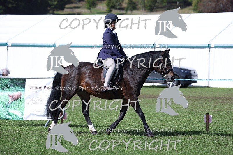 APP_3481 - Class 12 M&M ridden