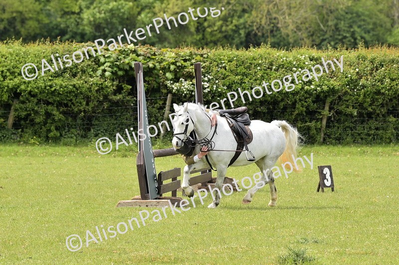 20260426-2414 - Class 21 - Working Hunter Ponies