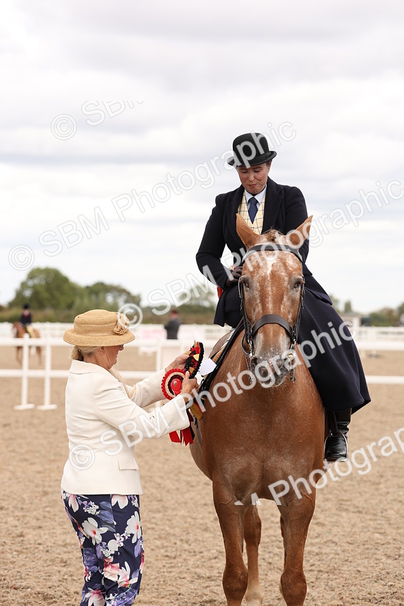 SBM_16439 - Class 211 - Best Side Saddle Horse - Pony
