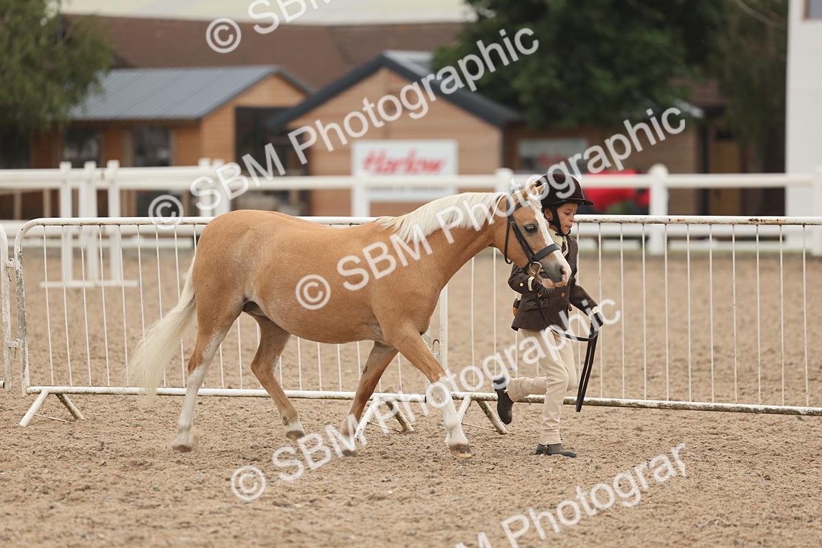SBM_00530 - Class 13 Young Handler