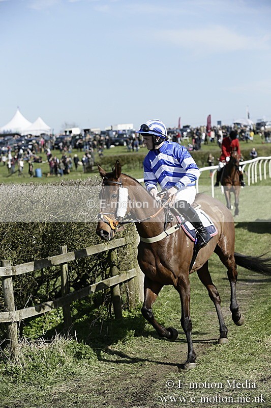 PtP 250317 88 - V.W.H. Hunt Point-to-Point Siddington 25/03/17