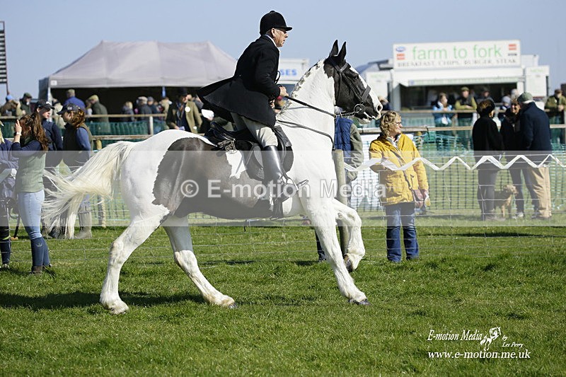 PtP 190322 483 - Wilton Hunt PtP Milborne St Andrew 19/03/22