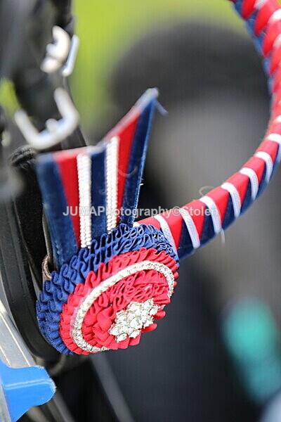 SIAL7626 - Miscellaneous pics