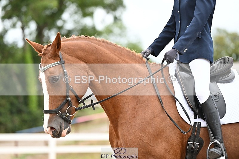 240817A-155154-10206 - 273-Melanie.Haslock-Minnie.I