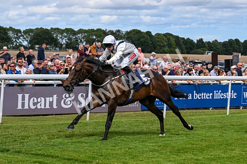 040726-Race 1-Palm Reader-3026