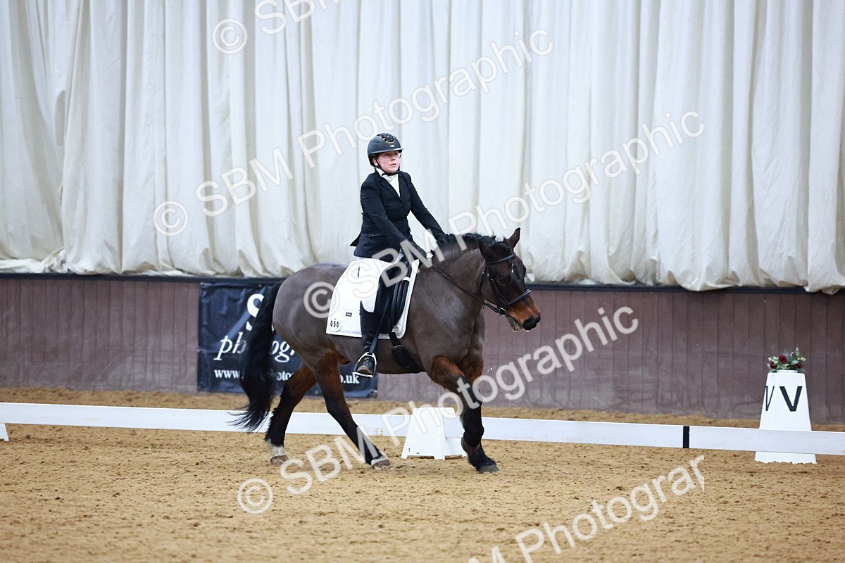 SBM_001595 - Novice Music