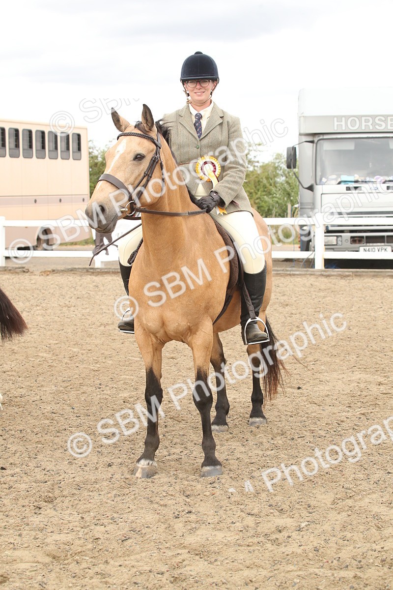 SBM_16699 - Class 507a - Working Veteran - 60cm (15-19)