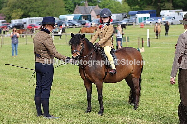 IMG_2264 - Working Hunter