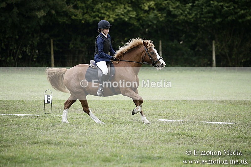 BVR090918 247 - BVRC Dressage and Show Jumping 09/09/18