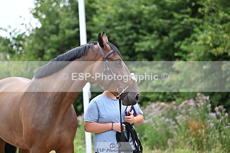 250716-135645-00715 - Trot Up 1.30 to 2.30