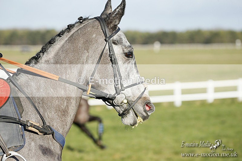 PtP 121220 289 - Avon Vale Races Larkhill 12/12/20